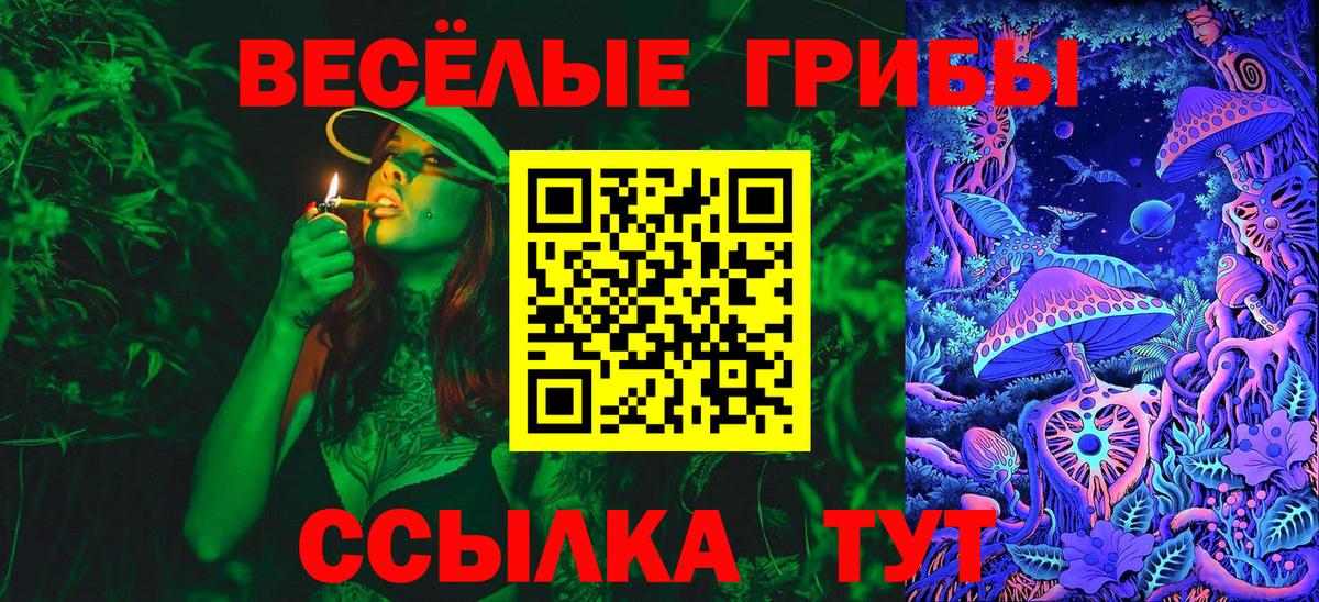Галлюциногенные грибы мухоморы Балтийск